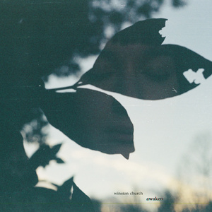 日本美女裸耸进去
